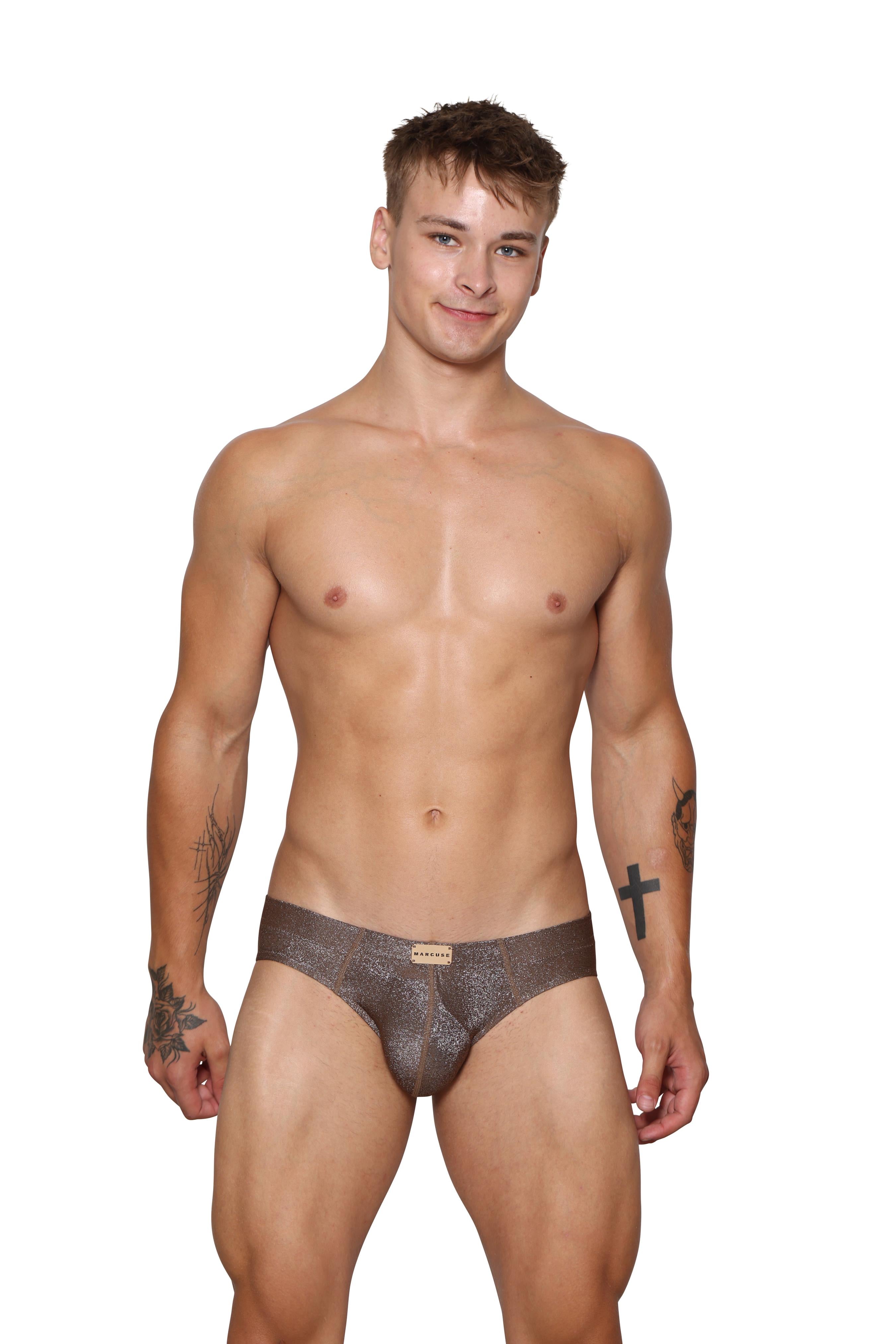 #color_glisten brief bronze